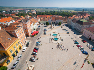 Веб-камера Рец