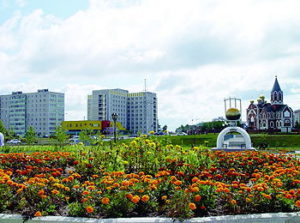 Веб-камеры Мегион